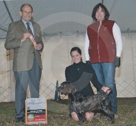 Hollow Creek's Chocolate Mouse